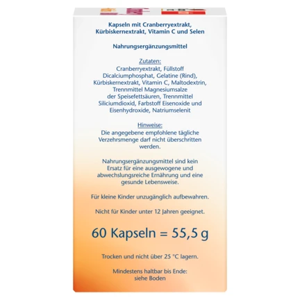 Doppelherz Aktiv Cranberry 800 + Kürbis — dos de la boîte ingrédients composition conseils utilisation sans lactose sans gluten 55,5g