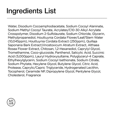 Anua Heartleaf Succinic Moisture Cleansing Foam — additional lifestyle shot